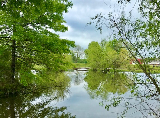 Liberty Park Photo